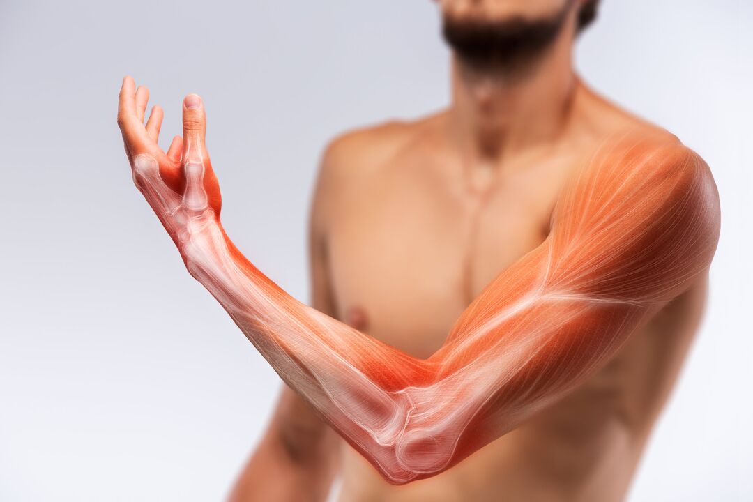 Los músculos de la mano y su tratamiento con el tratamiento con gel Congelum